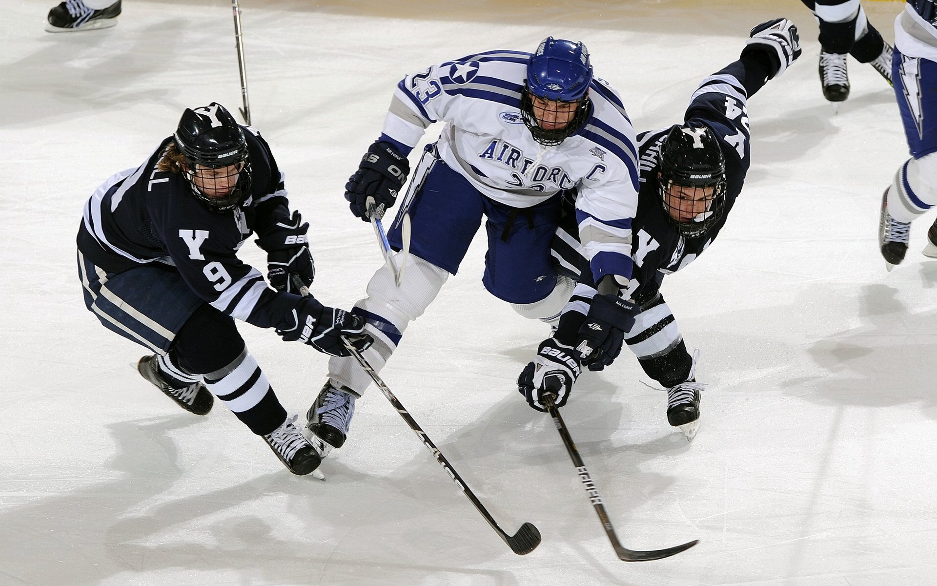 体育赛事直播观众体验优化策略，现场观看体育赛事的优点